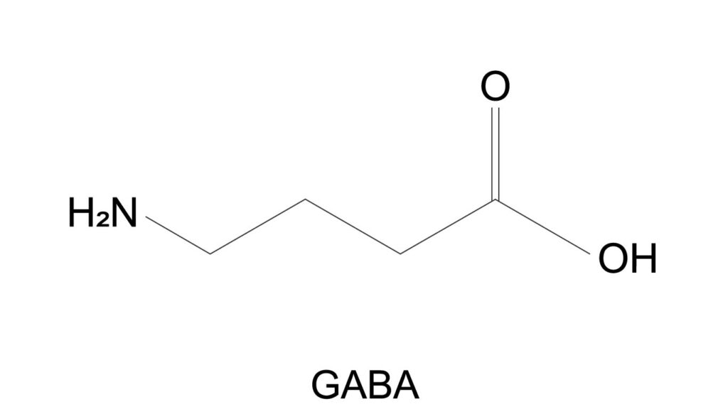 GABA構造式